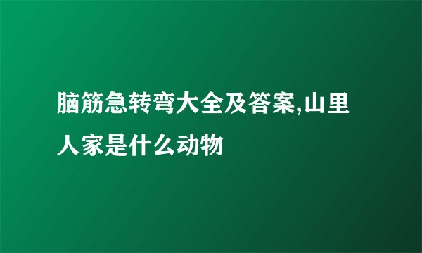 脑筋急转弯大全及答案,山里人家是什么动物