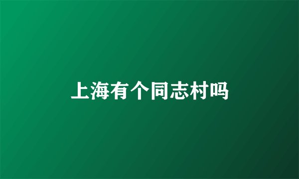 上海有个同志村吗