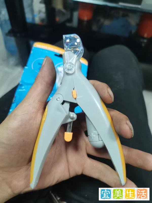 中国十大大型宠物用品批发市场