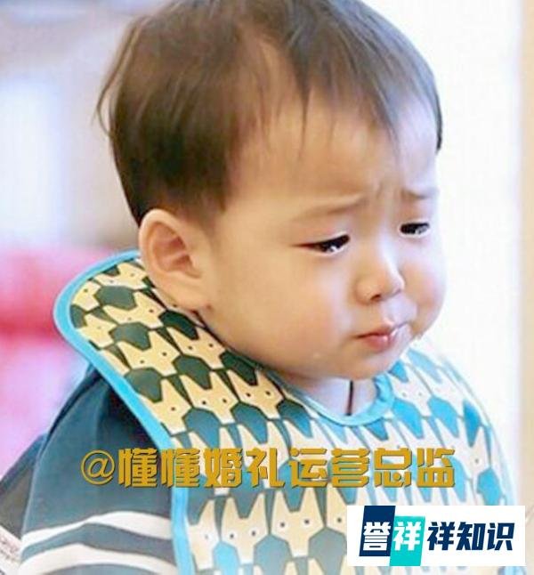 Word天！“撩爸”女神阿拉蕾亲爸爸身份惊人