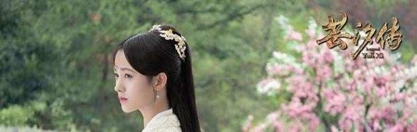 《芸汐传》下架的原因是什么