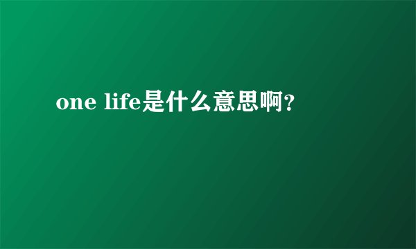 one life是什么意思啊？