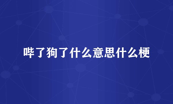 哔了狗了什么意思什么梗