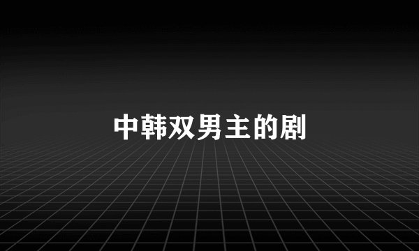中韩双男主的剧