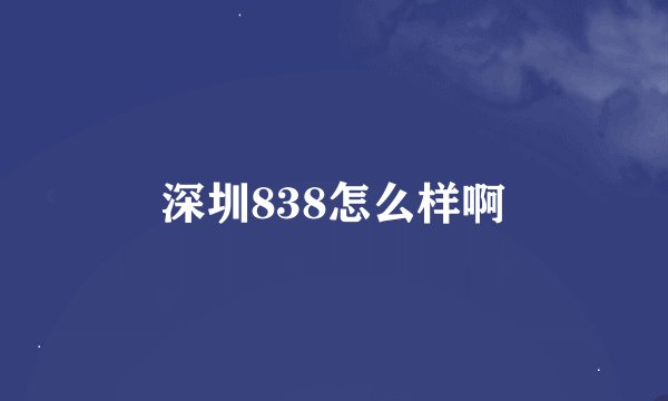 深圳838怎么样啊