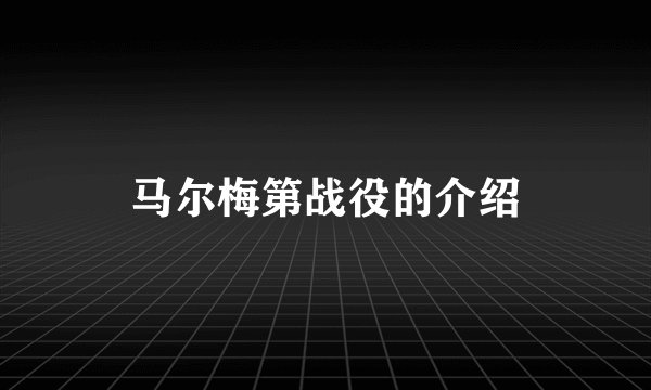 马尔梅第战役的介绍