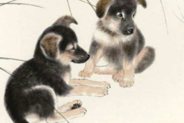 水软山温代表什么生肖