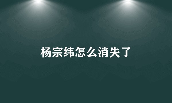 杨宗纬怎么消失了
