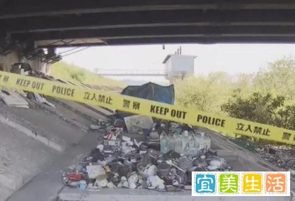 全网在寻找的“洗衣机柯基”，目前有了重大进展！