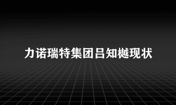 力诺瑞特集团吕知樾现状