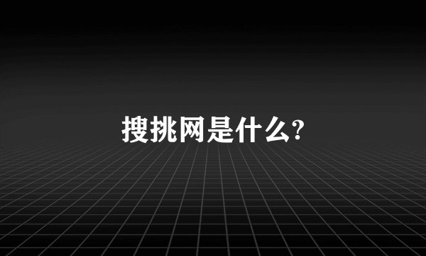 搜挑网是什么?