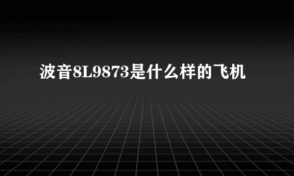 波音8L9873是什么样的飞机