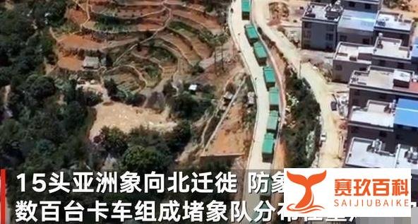 云南堵象人，我太难了！
