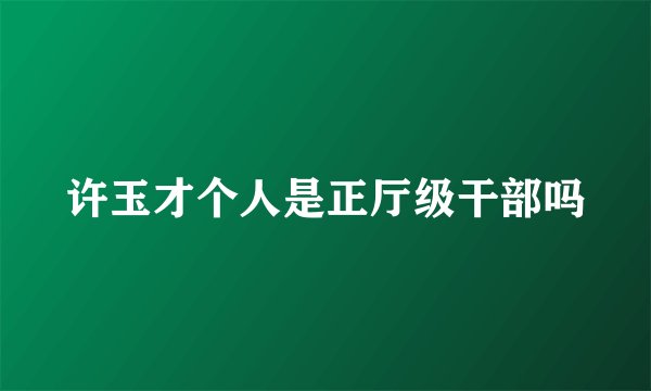 许玉才个人是正厅级干部吗