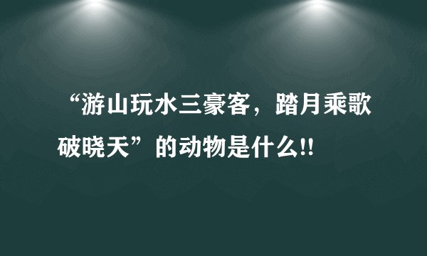 “游山玩水三豪客，踏月乘歌破晓天”的动物是什么!!