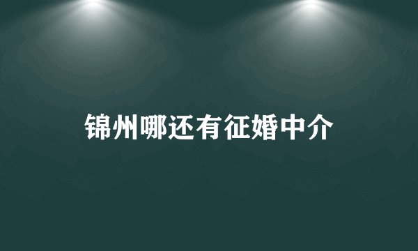 锦州哪还有征婚中介
