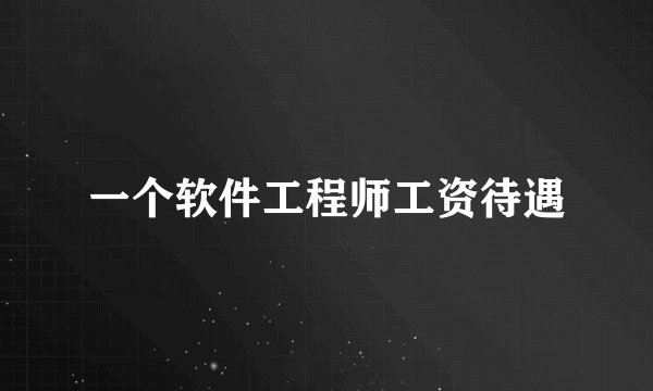 一个软件工程师工资待遇
