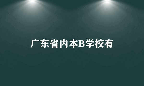 广东省内本B学校有