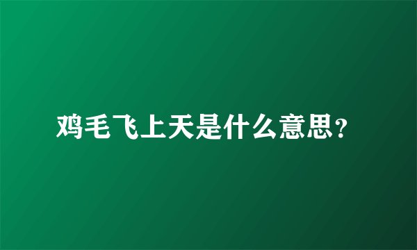 鸡毛飞上天是什么意思？