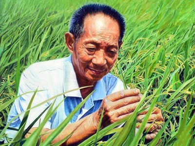 央媒评长沙“炊烟”碰瓷袁隆平，你对该事件有何看法？
