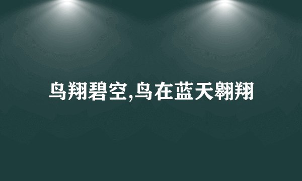 鸟翔碧空,鸟在蓝天翱翔