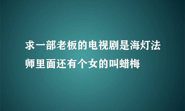 求一部老板的电视剧是海灯法师里面还有个女的叫蜡梅