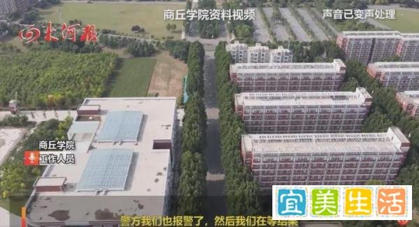全网在寻找的“洗衣机柯基”，目前有了重大进展！