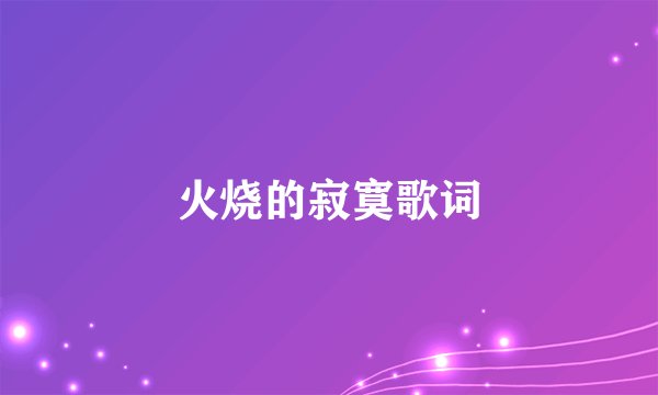 火烧的寂寞歌词