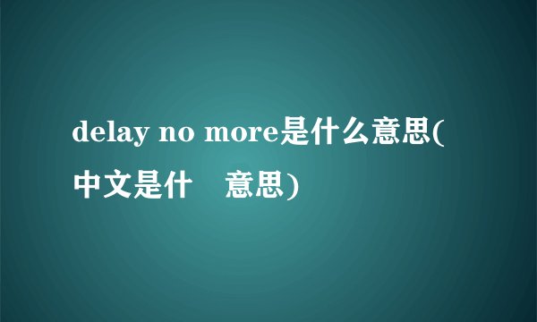 delay no more是什么意思(中文是什麼意思)