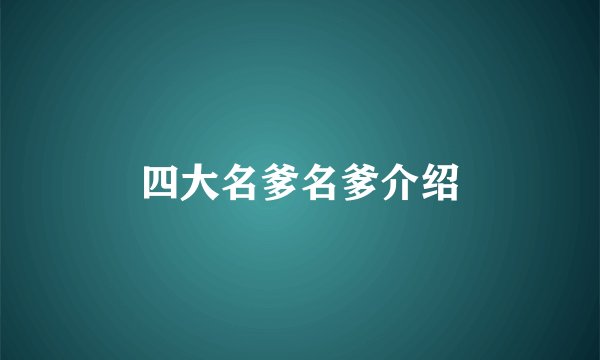 四大名爹名爹介绍