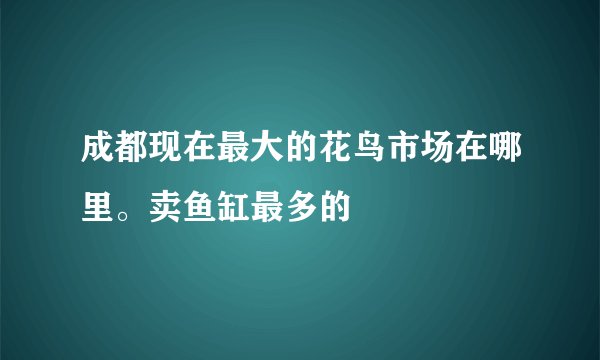 成都现在最大的花鸟市场在哪里。卖鱼缸最多的