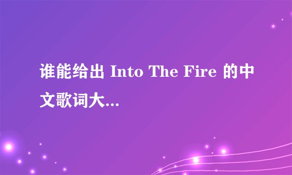 谁能给出 Into The Fire 的中文歌词大意 感谢