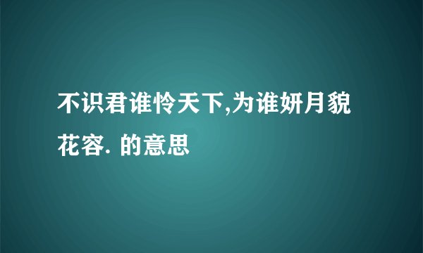 不识君谁怜天下,为谁妍月貌花容. 的意思