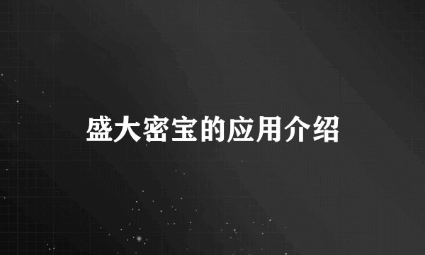 盛大密宝的应用介绍