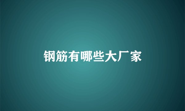 钢筋有哪些大厂家