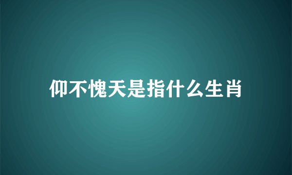 仰不愧天是指什么生肖