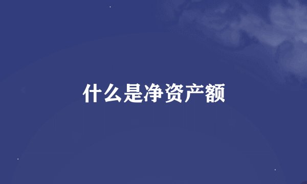 什么是净资产额