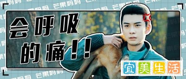 太黑暗，曝光《东宫》惨遭下架404背后的3大真相！