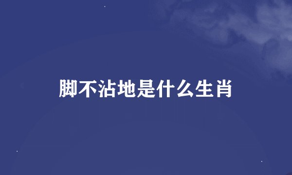 脚不沾地是什么生肖