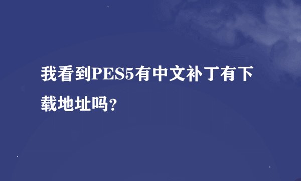 我看到PES5有中文补丁有下载地址吗？