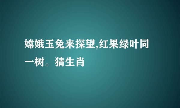嫦娥玉兔来探望,红果绿叶同一树。猜生肖