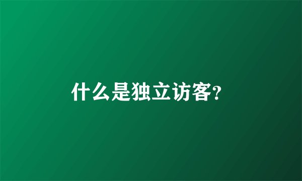 什么是独立访客？
