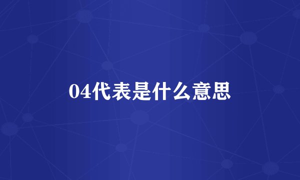 04代表是什么意思