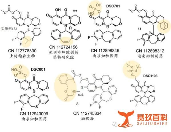 研发前沿 | 隐秘的角落-CEN抑制剂