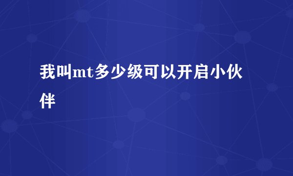 我叫mt多少级可以开启小伙伴