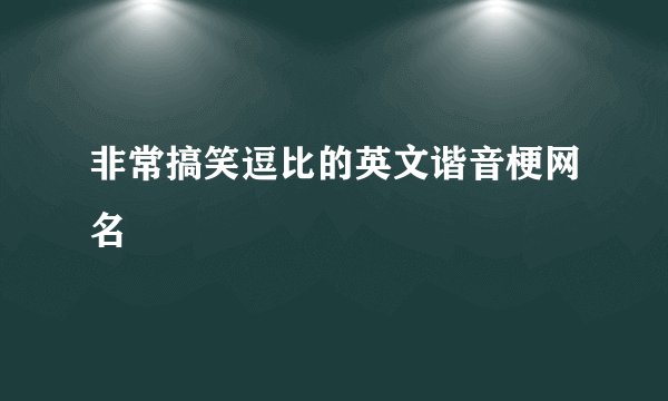 非常搞笑逗比的英文谐音梗网名