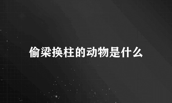 偷梁换柱的动物是什么