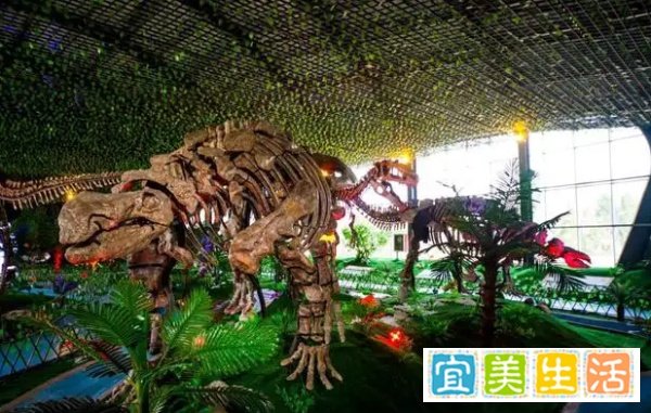 东诸城恐龙主题公园设计构思