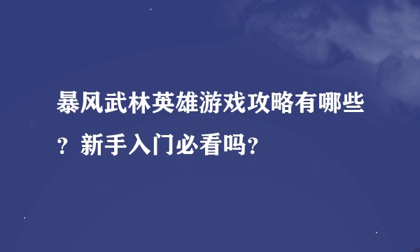 暴风武林英雄游戏攻略有哪些？新手入门必看吗？
