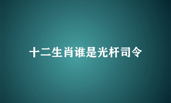 十二生肖谁是光杆司令